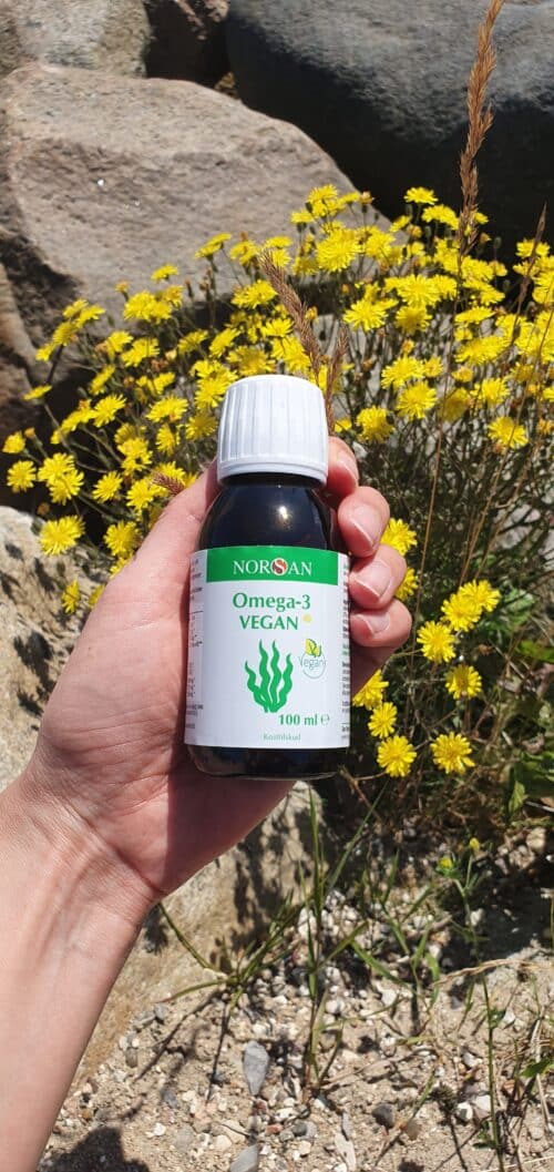 Omega-3 Vegan, õli, 3x100 ml - Pilt 5