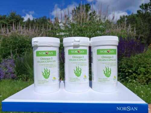 Omega-3 Vegan, kapslid, 3x80 tk. - Pilt 6