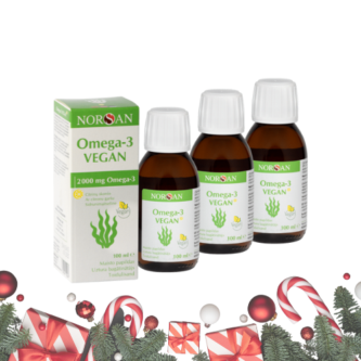 Omega-3 Vegan, õli, 3x100 ml