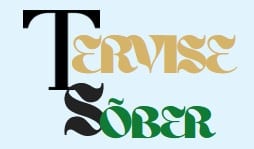 Example Logo
