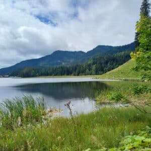 South Germany, wild nature, forests, lake and mountains - Rights belong to KaVi